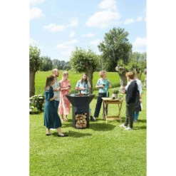 Brasero Plancha Barbecook Nestor Original - Acier Noir Galvanisé -BarbuArt Boutique bc woo 6022 brasero barbecook nestor original acier galvanise ambiance