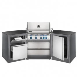 Cuisine Extérieure Napoleon Oasis 200 Avec Barbecue BIPRO 500